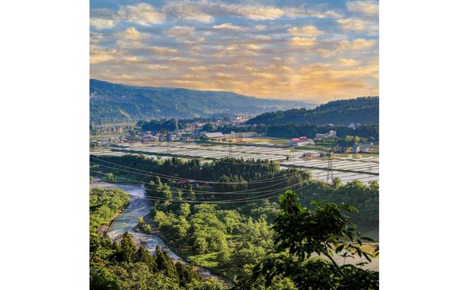 【令和7年産】定期便！魚沼産コシヒカリ【合計120kg】毎月20kg×6回 お米 ブランド米 銘柄米 精米 白米 ご飯 おにぎり お弁当 和食 産地直送 