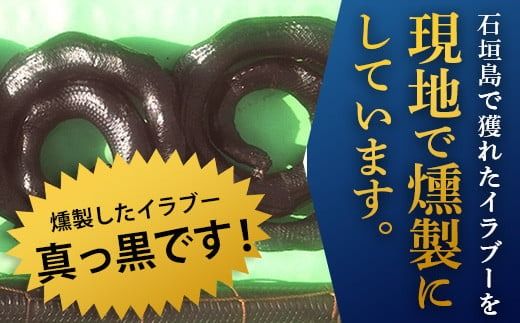 石垣島産「イラブー(海ヘビ)」粉末 120粒入り袋　健康補助食品・約1ヶ月分【 海へび 海蛇 栄養補助食品 サプリメント サプリ 錠 粒 アミノ酸 ミネラル ビタミン 】SI-35