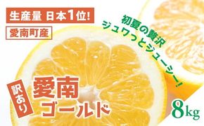 【訳あり】愛南ゴールド（河内晩柑）8kg | 柑橘 訳あり 詰め合わせ 家庭用 みかん かわちばんかん 果物 ジューシー ジュースみたいな果汁 鬼北町 愛南町 箱 送料無料 デザート ※北海道・沖縄・離島への配送不可 ※2026年4月上旬頃より順次発送予定