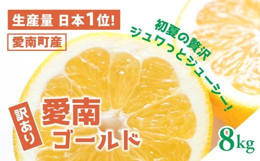 【訳あり】愛南ゴールド（河内晩柑）8kg | 柑橘 訳あり 詰め合わせ 家庭用 みかん かわちばんかん 果物 ジューシー ジュースみたいな果汁 鬼北町 愛南町 箱 送料無料 デザート ※北海道・沖縄・離島への配送不可 ※2026年4月上旬頃より順次発送予定