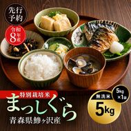 先行予約 令和8年産 特別栽培米 まっしぐら 無洗米 5kg [H.GREENWORK] 青森県 鰺ヶ沢産 / お米 こめ おこめ ごはん 農薬5割減 安心 安全 津軽