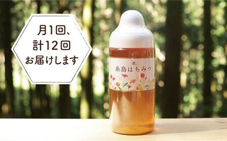 【全12回定期便】糸島 はちみつ 520g 糸島市 / ヴァンベールフーズ /百花 / 蜂蜜[AFJ007] 蜂蜜 はちみつ ハチミツ 国産 非加熱 無添加 紅茶 日本蜜蜂