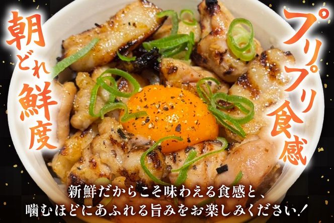 ホルモン 味付き能登豚ホルモンミックス 150g × 3パック [ホルモンしんちゃん 石川県 宝達志水町 38601396] 肉 お肉 ほるもん 能登豚 豚肉 豚ホルモン 冷凍 味付き 小分け おかず 焼肉 BBQ おつまみ