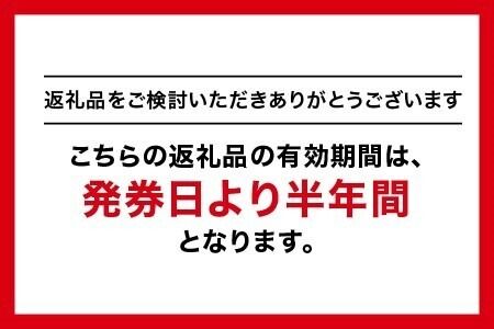 1500 GINZA Global Style オーダースーツ商品券（100000円券）