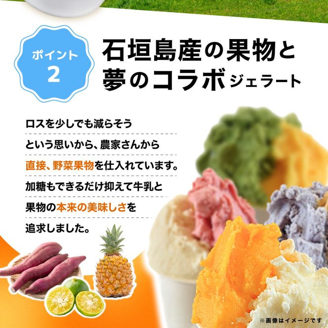 石垣島ミルミル本舗　ミルミル人気ジェラートセット（132ml×12個）　【石垣島 石垣市 沖縄県石垣市 セット ジェラート 石垣島産 八重山】