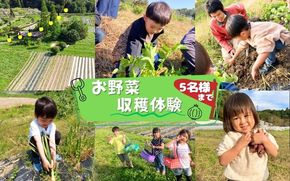 農園はなうた お野菜収穫体験券 5名様まで hnut0001