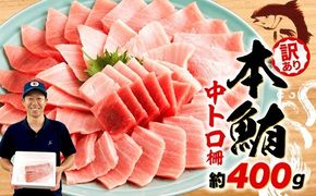 訳あり 本まぐろ 中とろ 刺身用 約400g 不定型柵 本鮪 まぐろ [ PT0014-000010-X2 ]