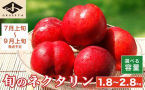 旬のネクタリン 約1.8kg 約2.8kg 選べる内容量 ［小布施屋］ 果物 フルーツ 桃 もも 長野県産 小布施 冷蔵便 クール便 産地直送 数量限定 送料無料 令和8年産 【2026年7月上旬～9月上旬発送】