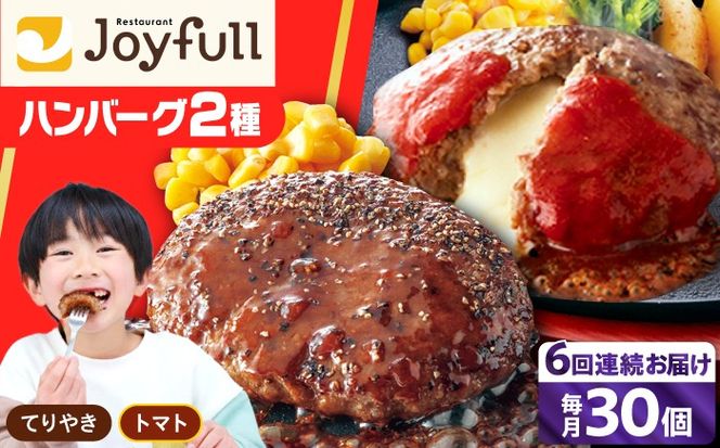【全6回定期便】ジョイフル ハンバーグ スペシャル 詰め合わせ 2種 30個 セット《築上町》【株式会社　ジョイフル】[ABAA079]