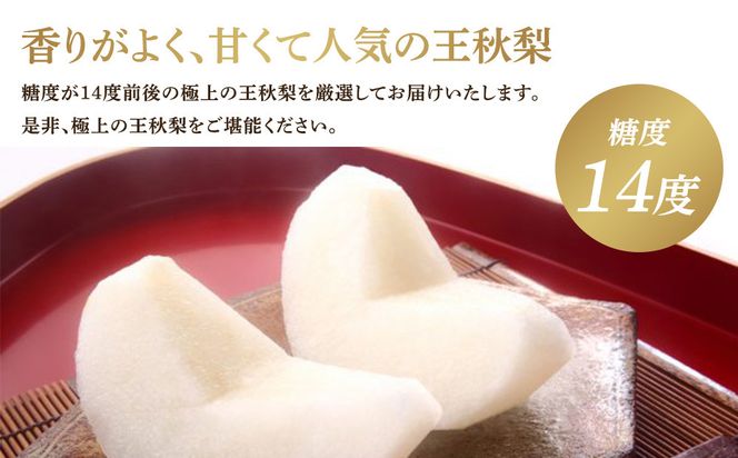 299.【先行予約】王秋梨 3kg前後 ◇◇　※2026年10月下旬～12月上旬頃に順次発送予定 313726_AN069