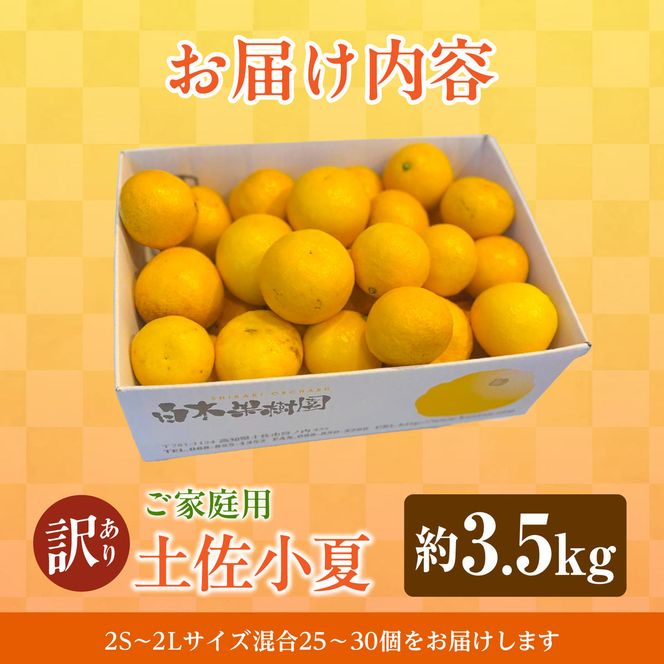 【先行予約】＜白木果樹園＞ 土佐小夏 訳ありご家庭用 約3.5kg 3.5キロ〈2027年5月下旬～6月下旬頃発送〉  / こなつ 柑橘 かんきつ 柑橘類 フルーツ 日向夏 ニューサマーオレンジ 西内小夏 果物【白木果樹園】 [BQAI033]
