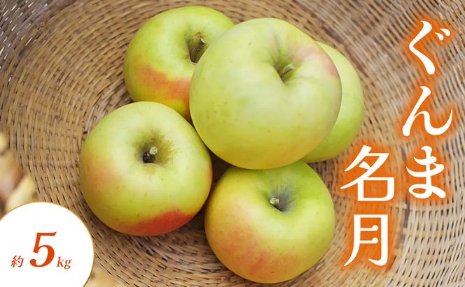 ぐんま名月 約5kg りんご リンゴ 林檎 果物 フルーツ 長野県 長野 山ノ内町