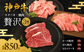 神戸牛 贅沢セットC 計850g 焼肉用ロース バラ ももステーキ