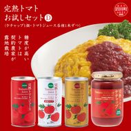 完熟トマトお試しセットD（ケチャップ1個・トマトジュース各種1本ずつ）保存料 無添加 国産 北海道産 ヘルシーDo認定 ESSEふるさとグランプリ銀賞 n-0065