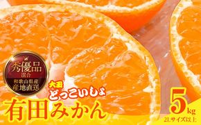 MK1033_2月28日終了！ 最短出荷すぐ届く！みかん 大玉 どっこいしょ 箱込 5kg ( 内容量 4.4kg ) 2Lサイズ以上 秀品 優品 混合 有田みかん 和歌山県産 産地直送 【みかんの会】