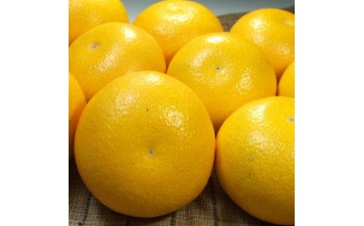  八朔 約5kg サイズおまかせ / ハッサク はっさく みかん 蜜柑 柑橘 果物 フルーツ 紀伊国屋文左衛門本舗 ※2027年1月下旬～4月上旬頃発送予定 【kmtb021-r-5A】