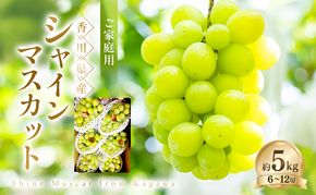 ご家庭用 シャインマスカット 約5kg ぶどう ブドウ 葡萄 香川県産 国産 フルーツ 果物