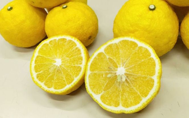 爽やかに甘い！ 糸島産 「はるか」 ジャンボサイズ 約5kg（3L-4Lサイズミックス）糸島市 / 二丈赤米産直センター[ABB031]