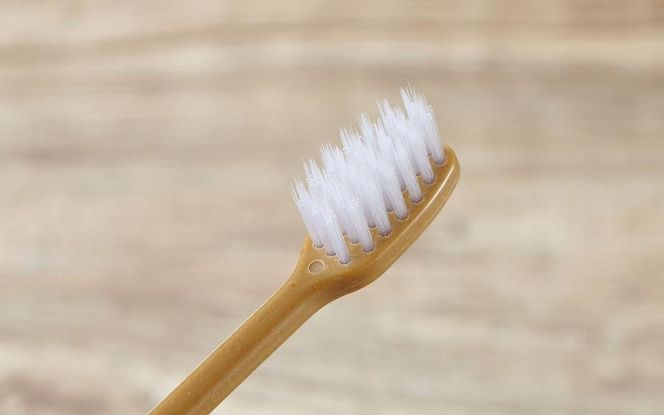 MEGURU 竹の歯ブラシ 超極細毛 4本セット fain0008