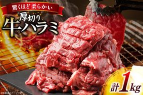 牛 ステーキ 厚切り ハラミ 1kg [上球磨農産 熊本県 五木村 51120362] 牛肉 焼肉 肉 はらみ すてーき 下味付き 塩味 冷凍