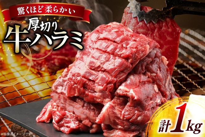 牛 ステーキ 厚切り ハラミ 1kg [上球磨農産 熊本県 五木村 51120362] 牛肉 焼肉 肉 はらみ すてーき 下味付き 塩味 冷凍
