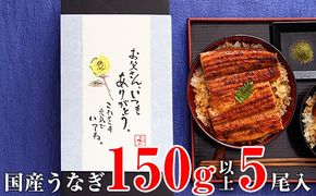 1164.【父の日用】国産うなぎ蒲焼き大サイズ5本セット(A1164-1) 