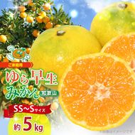 【2026年先行予約】【ご家庭用 極早生】和歌山 有田ゆら早生みかん 約5kg (SS、Sサイズ)【湯浅町】_ZJ1010n
