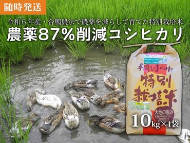 【令和6年産米】【新米】農薬87%削減　コシヒカリ米　合鴨農法　10kg(特別栽培米、旧名：会津磐梯山黄金米） 