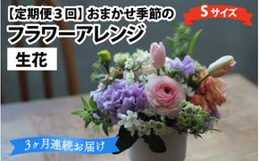 【定期便3回】母の日アレンジok おまかせ季節のフラワーアレンジ（生花）Ｓサイズ×3ヶ月【母の日申込期日：4/26（日）まで】【母の日発送予定日：～5/11（月）まで】お好み 日時指定可能