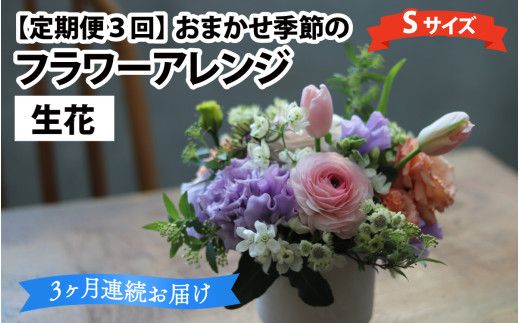 【定期便3回】母の日アレンジok おまかせ季節のフラワーアレンジ（生花）Ｓサイズ×3ヶ月【母の日申込期日：4/26（日）まで】【母の日発送予定日：～5/11（月）まで】お好み 日時指定可能