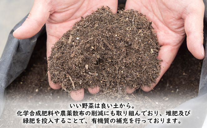 2027年春発送！ふらの グリーンアスパラ 約1.5kg [ 数量限定 先着順 アスパラ アスパラガス 野菜 新鮮 直送 北海道 富良野 ]