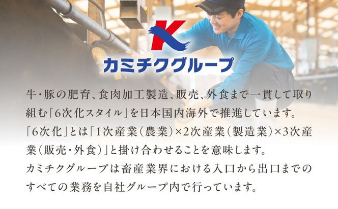 【A5和牛・豚・ホルモン】焼肉セット900g　K002-055