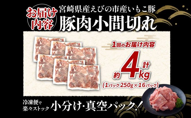 定期便 3回お届け 宮崎県産 いもこ豚 小間切れ 4kg (250g×16パック) 真空パック 小分け 豚肉 えびの市