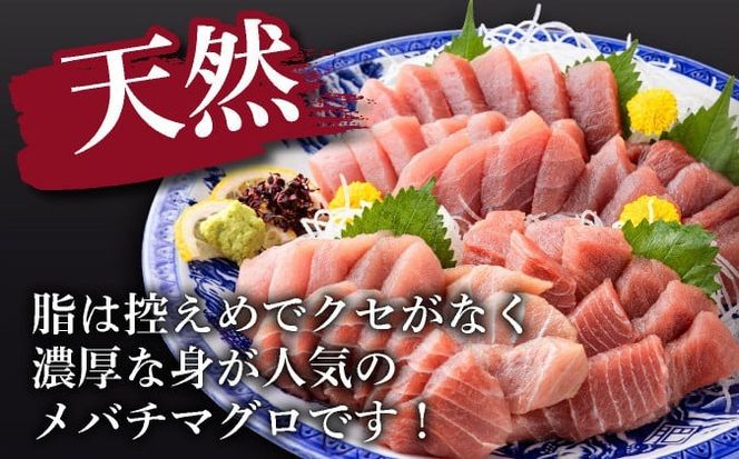 【 6回定期便 】 天然メバチマグロ 【 中トロ 】500ｇ（柵） メバチマグロ めばちまぐろ めばち メバチ まぐろ マグロ 鮪 サク 柵 中トロ 天然 天然まぐろ 天然マグロ 刺身 お刺身 食べ比べ 海鮮丼 丼 魚 さかな 新鮮 高知 室戸 冷凍 小分け 海鮮