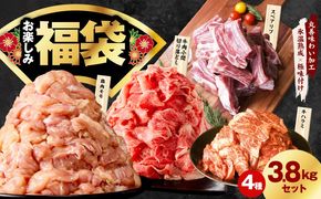 mrz0328 肉福袋 4種 3.8kg 焼肉セット（牛肉 切り落とし／牛ハラミ／豚肉 スペアリブ／鶏肉）【氷温熟成×極味付け 焼くだけ 食べ比べ ふくぶくろ お楽しみ 簡単調理】