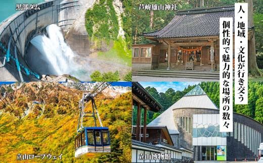 富山県 立山町 旅行クーポン 300,000 円分 キャンプ 体験 登山 観光 旅行 ホテル 旅館 老舗 高級 トラベル チケット 家族 カップル 宿泊 予約 おすすめ 父の日 母の日 旅行券 宿泊券 F6T-965