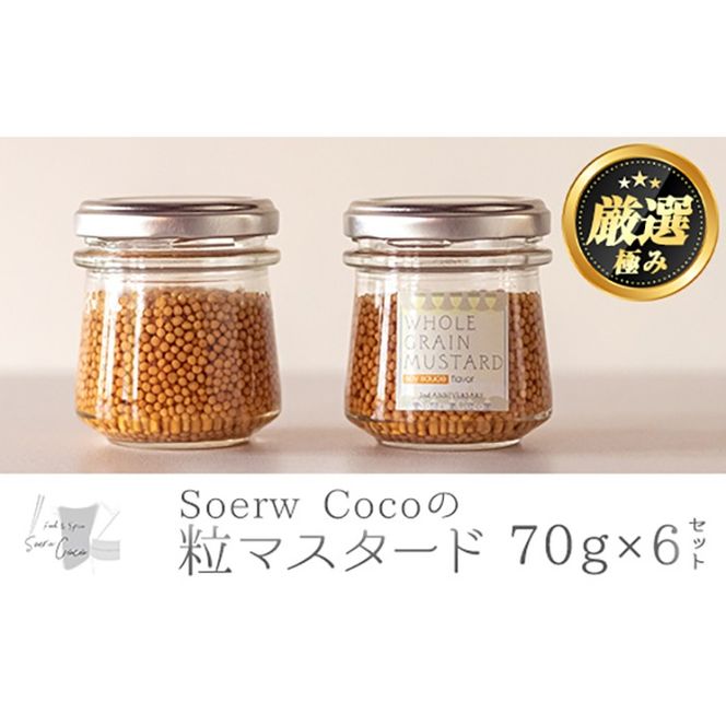 y̑Sǒzy0154213azSoerw Coco̗}X^[h(70g×6Zbg)  炵  yFoodSpiceSoerwCocoz