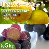 【季節の味覚をお届け】熊本県産 フルーツ詰合せ ぶどう(3房)・梨(5～6個)約5kg×1セット ぶどう 梨 フルーツ 詰め合わせ 食べ比べ 甘い 濃厚 農家直送 ギフト 贈答用 家庭用 お取り寄せ 熊本県