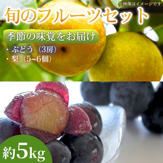 【季節の味覚をお届け】熊本県産 フルーツ詰合せ ぶどう(3房)・梨(5～6個)約5kg×1セット ぶどう 梨 フルーツ 詰め合わせ 食べ比べ 甘い 濃厚 農家直送 ギフト 贈答用 家庭用 お取り寄せ 熊本県
