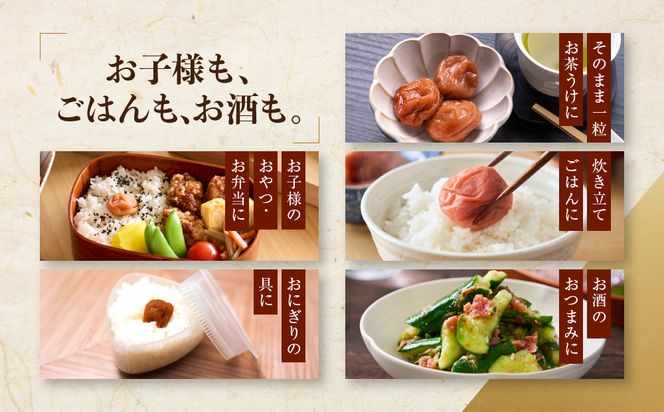 紀州南高梅 はちみつ極 塩分約6％ 850g ［YM10］ 303446_DX90013