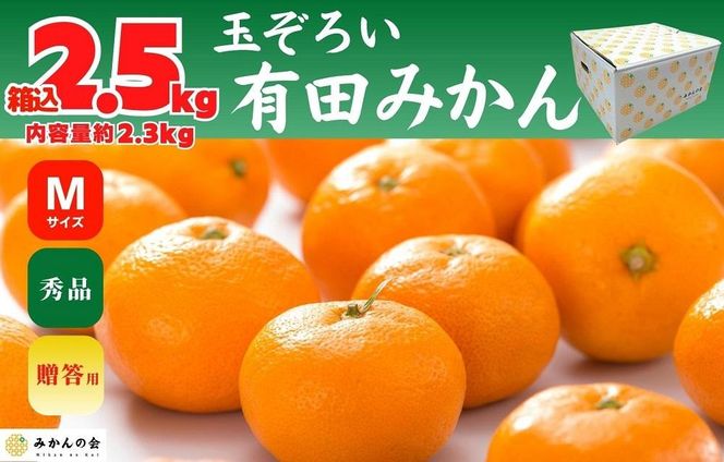 みかん Ｍサイズ 秀品 箱込 2.5kg (内容量約 2.3kg) 有田みかん 和歌山県産 産地直送 贈答用 【みかんの会】 AX205