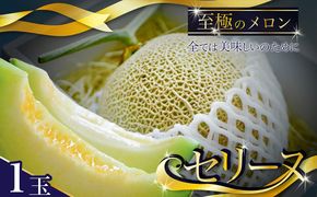 【数量限定】京都丹後産 セリーヌメロン 1玉入り（2026年7月～発送） 国産 旬 アールスメロン めろん ふるさと 納税 メロン 青肉 ふるさと 納税 期間限定 ふるさと 納税 フルーツ くだもの 果物　AM00716