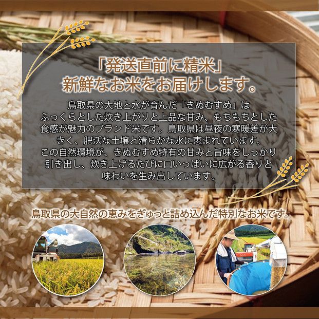 1106.令和7年産　大上農園きぬむすめ玄米 5kg 313726_CI003