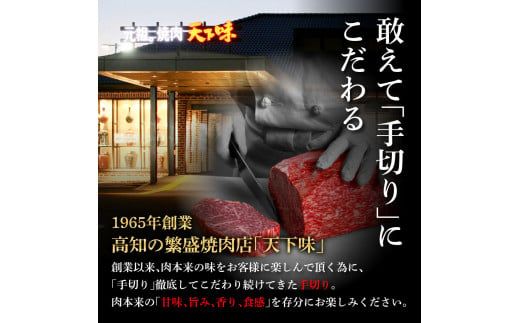 土佐和牛 特選ロースブロック500g 田野屋銀象完全天日塩1P付き 長期熟成肉 田野屋銀象 完全天日塩付き ロース 牛肉 ブロック 肉 お肉 和牛 国産 牛 熟成肉【株式会社LATERAL】 [BQAU054]