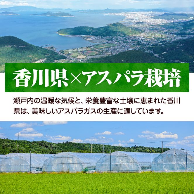2027年初物予約！  アスパラガス【さぬきのめざめ】約1kg　LM混合