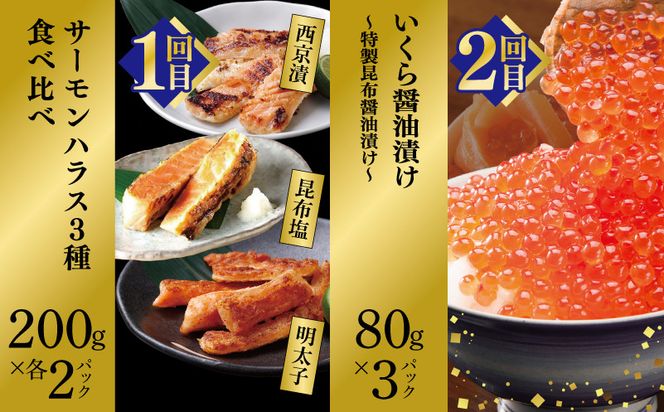 099Z419 【北国からの贈り物】厳選 海鮮定期便 全6回【食べ比べ かに サーモン いくら うなぎ 人気 ていきびん お楽しみ 毎月配送コース】