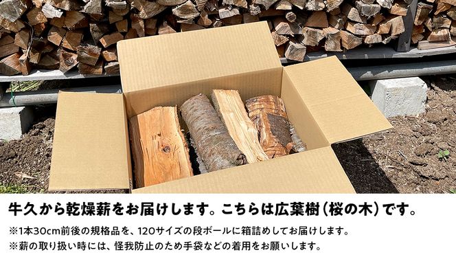 【選べる内容量・回数】 牛久市産 乾燥 薪 桜 ( さくら ) 牛久市産 乾燥 天然木 マキ 乾燥薪 広葉樹 キャンプ アウトドア 焚火 焚き火 薪ストーブ 暖炉 たき火 野外 屋外 バーベキュー 薪 ピザ窯の薪 グリル焼 [DP010us]