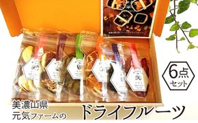 美濃山県元気ファームのドライフルーツかじゅえりー6点セット  [No.140]