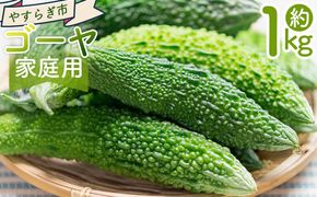 【2025年10月以降発送】ゴーヤ １ｋｇ 家庭用 yr-0073