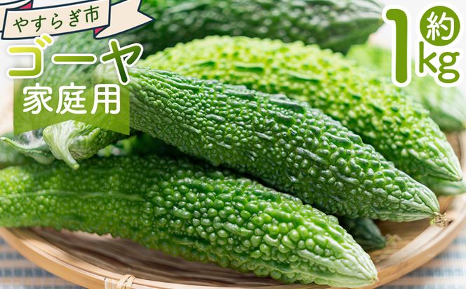 ymszy2025N10ȍ~zS[ P ƒp yr-0073